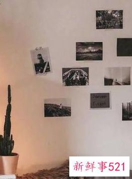 墙板什么颜色好看