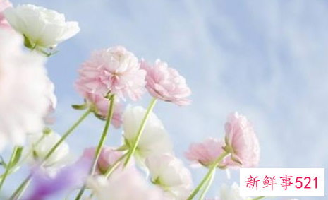 美容院拓客方法有哪些