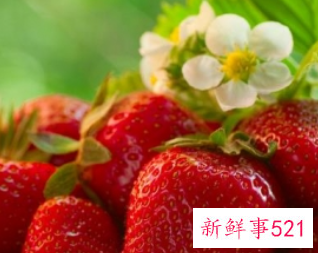 草莓的功效与作用禁忌
