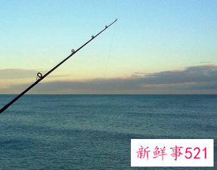 钓鲫鱼钓位选择口诀