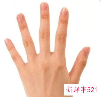 怎么能让手变得又白又嫩