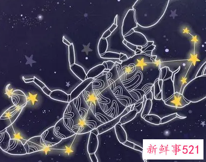 天蝎女喜欢什么类型的男生