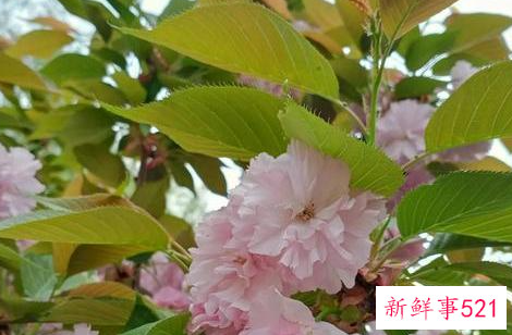 发现老婆用微信和别人暧昧怎么办