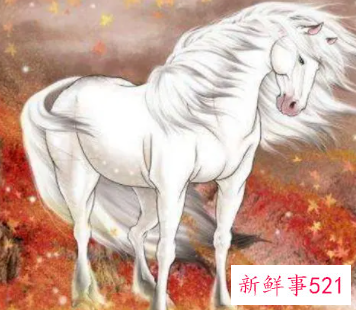 属马和属蛇婚姻相配吗