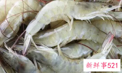 大虾与小虾的营养价值