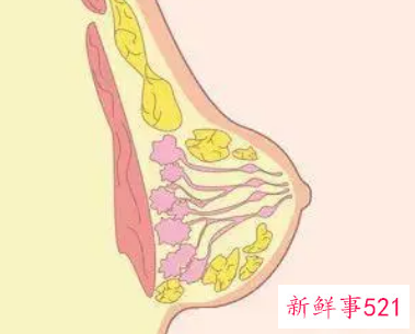 月经前乳房胀痛有硬块是什么原因
