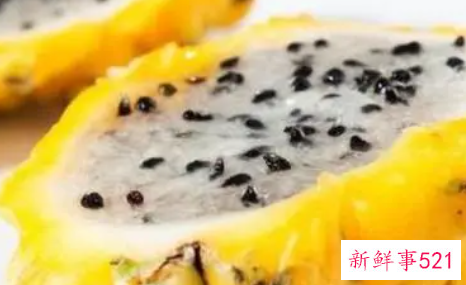 燕窝果与火龙果的区别