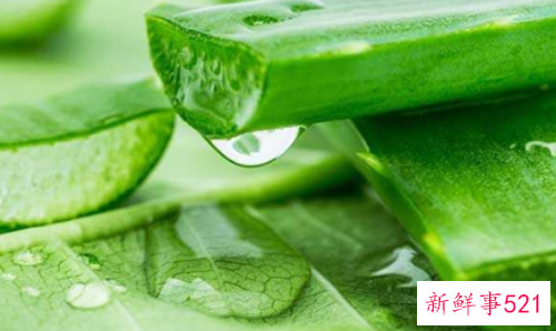 芦荟能去除脸上的斑点吗