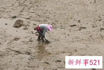 梦见自己掉进泥潭寓意