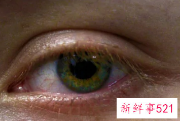 跟人面对面交流眼睛应该看哪