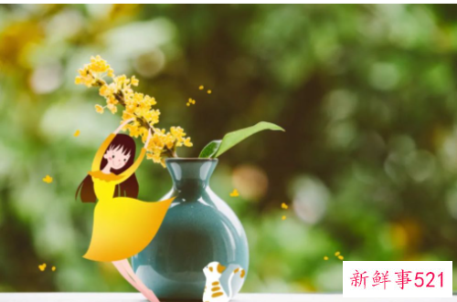 勇敢跨越几个美丽陷阱