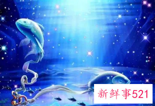 错爱双鱼座的后果