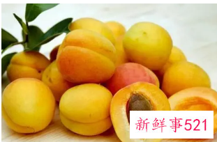 杏子的功效与作用
