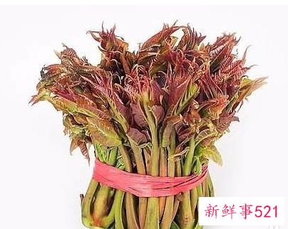 春季适合吃的蔬菜视频