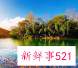 五十岁最漂亮的女人头像