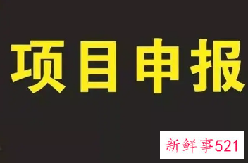 项目申请报告怎么写