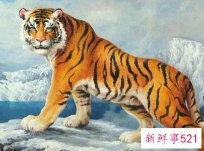 梦见老虎咬手是什么意思