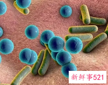 外阴白斑是怎样导致的