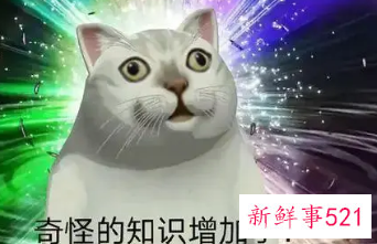 幽默网名女大全