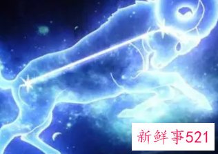 存在感很低的星座