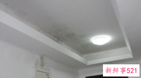 外墙潮湿发霉怎么处理