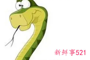 属蛇男人床上爱你的表现