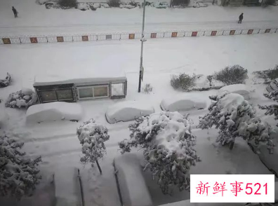 内蒙古多地降雪量已破1951年来极值具体情况
