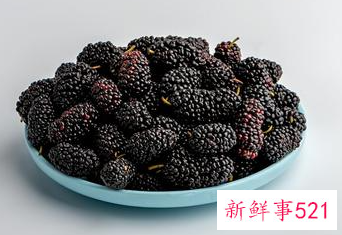 女人长期喝桑葚泡水有害吗