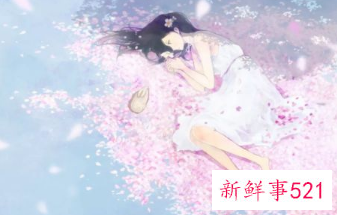 女人如何过好单身的生活