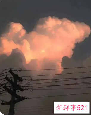 温柔干净的网名30岁