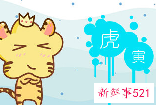 最命苦的虎几月出生