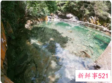 梦见水潭玩水是什么意思