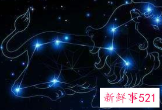 狮子男最离不开的星座女