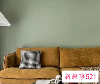 墙板什么颜色好看