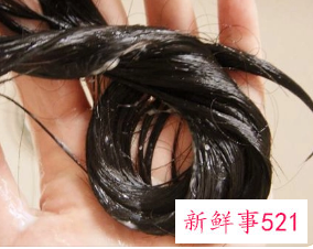 护发素和洗发水有啥区别