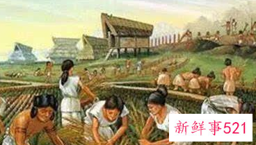 人类为什么发明婚姻