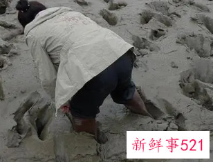 梦见自己掉进泥潭寓意