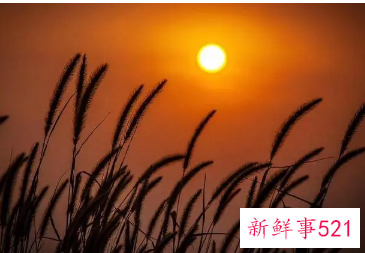 代表美好的名字