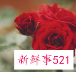 五十岁最漂亮的女人头像