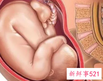 38周胎儿发育标准数值