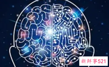 开发宝宝脑部潜能的关键期