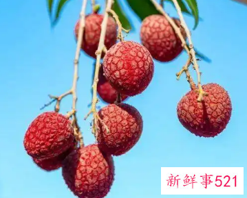 吃多了荔枝会上火吗