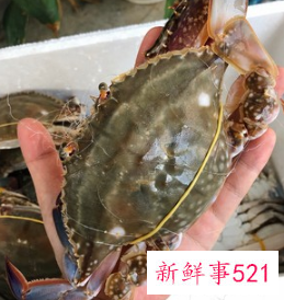 蒸螃蟹怎么吃法是正确的