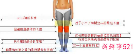 半长裙到哪里最好看