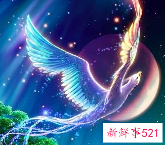 星座女最擅长欲擒故纵