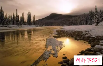 梦见融化有什么征兆