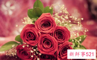 智慧让婚姻更幸福