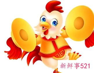 属鸡的幸运花和旺财花