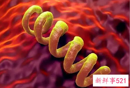 trust阳性是什么意思