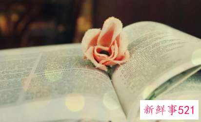 智慧让婚姻更幸福